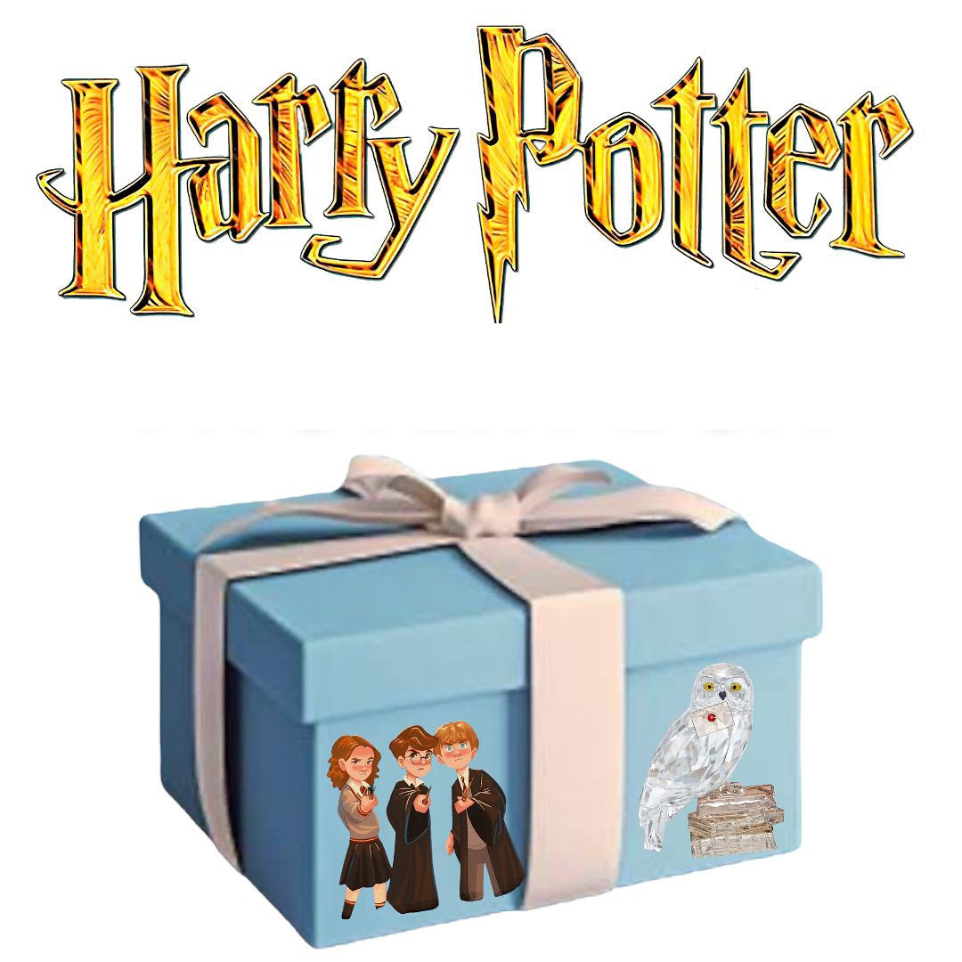 Harry Potter Box Let Me Shop AU